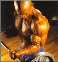 Barbell Curls from Neveux Photo Shoot
